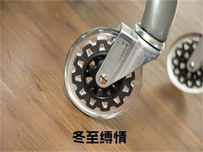 姜雪笙谢渊（冬至缚情）高质量小说冬至缚情推荐阅读-姜雪笙谢渊（冬至缚情）小说最新章节