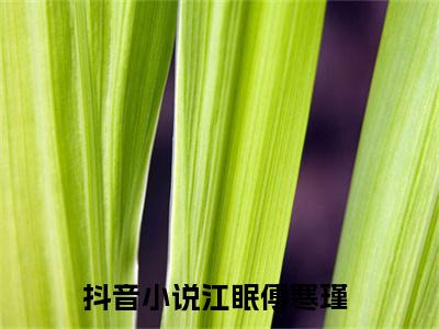 江眠傅寒瑾全文免费完整版-江眠傅寒瑾小说阅读