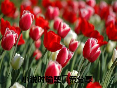 时瑜楚昇策小说免费阅读无弹窗《时瑜楚昇策》_时瑜楚昇策全文阅读
