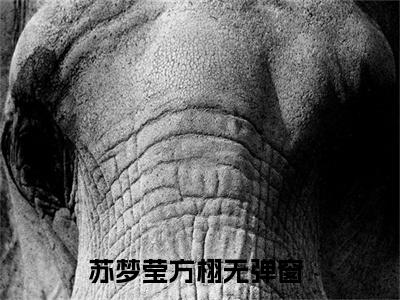 苏梦莹方栩（苏梦莹方栩）全文免费阅读无弹窗大结局_ (苏梦莹方栩小说免费阅读)最新章节列表_笔趣阁
