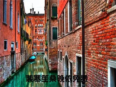 裴寒笙桑晚依小说全文免费阅读无弹窗-正版小说全文阅读