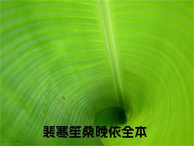 裴寒笙桑晚依（裴寒笙桑晚依）小说全文免费阅读无弹窗-裴寒笙桑晚依小说全文免费阅读大结局笔趣阁