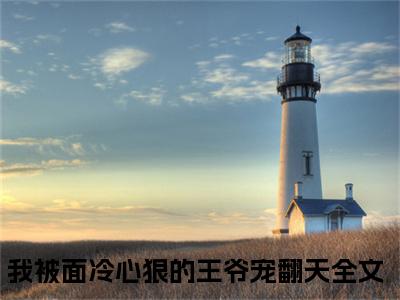 楚穆阮棠「精彩小说」无弹窗阅读我被面冷心狠的王爷宠翻天大结局阅读