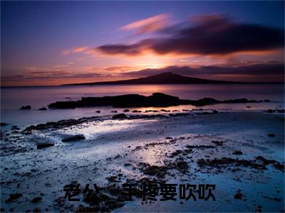 傅忱远宋姝老公，手疼要吹吹最新章节免费阅读老公，手疼要吹吹小说最新章节