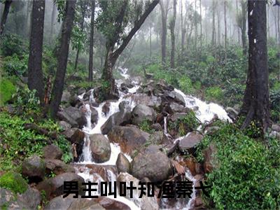 叶知渔秦弋小说(叶知渔秦弋)全文免费阅读无弹窗大结局_(叶知渔秦弋小说免费阅读)叶知渔秦弋无弹窗最新章节列表_笔趣阁（叶知渔秦弋）