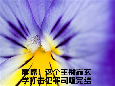 震惊！这个主播靠玄学打击犯罪司瞳免费阅读目录 震惊！这个主播靠玄学打击犯罪司瞳小说全文