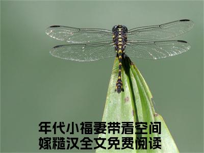 年代小福妻带着空间嫁糙汉（徐滢霍辰）小说全文免费阅读完整版-年代小福妻带着空间嫁糙汉免费在线阅读大结局（徐滢霍辰）