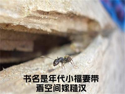 徐滢霍辰小说大结局精彩推荐，年代小福妻带着空间嫁糙汉全文完整版在线阅读