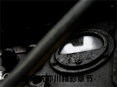 唐染沈亦川小说（谈谈你的筹码）全文免费阅读_唐染沈亦川小说（谈谈你的筹码）最新章节列表笔趣阁小说