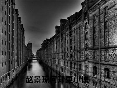 (赵景琛何知夏)赵景琛何知夏小说免费赵景琛何知夏读无弹窗最新章节列表_笔趣阁（赵景琛何知夏）