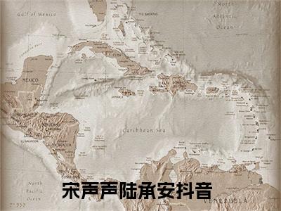 宋声声陆承安（宋声声陆承安）全文免费阅读无弹窗大结局-（宋声声陆承安免费阅读全文大结局）最新章节