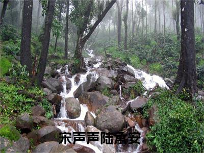 宋声声陆承安（宋声声陆承安）小说全文完整版免费阅读-宋声声陆承安小说最新章节免费阅读