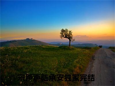 宋声声陆承安小说免费阅读无弹窗大结局-宋声声陆承安（宋声声陆承安）小说全文阅读