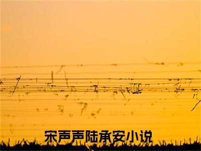 宋声声陆承安小说（宋声声陆承安）全文免费阅读无弹窗大结局_宋声声陆承安小说最新章节列表