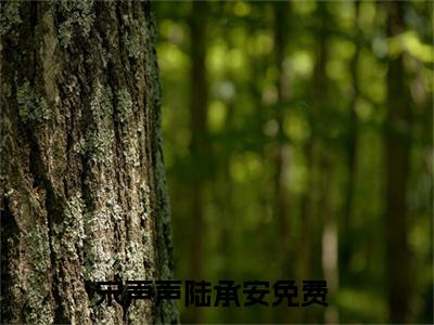 宋声声陆承安小说（宋声声陆承安）全文免费阅读无弹窗大结局_（宋声声陆承安小说全文免费阅读无弹窗）宋声声陆承安最新章节列表_笔趣阁（宋声声陆承安小说）