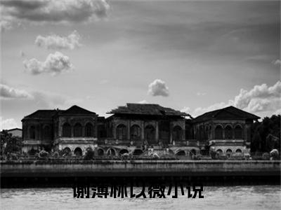 谢薄林以薇小说免费阅读无弹窗大结局，谢薄林以薇最新章节列表