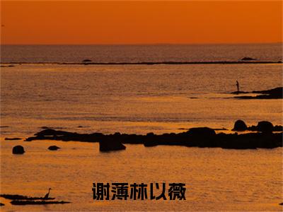 谢薄林以薇的小说免费阅读（谢薄林以薇的小说免费阅读）全文完整版免费阅读