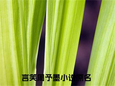 言笑周予墨(言笑周予墨)全文免费阅读无弹窗大结局_(言笑周予墨免费阅读全文大结局)最新章节列表