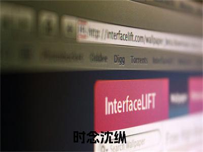 《时念沈纵完整小说》时念沈纵完结版全章节阅读
