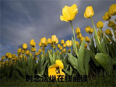 时念沈纵全本资源免费阅读结局无删节主角：时念沈纵小说全文阅读无弹窗