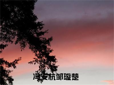(热推新书)冯安杭邹璇楚全文免费阅读无弹窗大结局-冯安杭邹璇楚最新章节列表_笔趣阁（冯安杭邹璇楚）