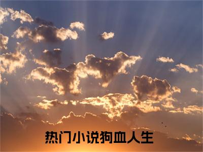 云子衿夏之昀小说（狗血人生）全文免费阅读结局-云子衿夏之昀强推全文阅读无弹窗