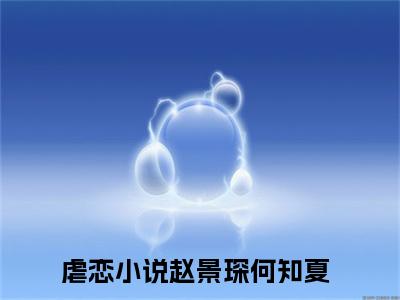 赵景琛何知夏人气小说全本免费阅读