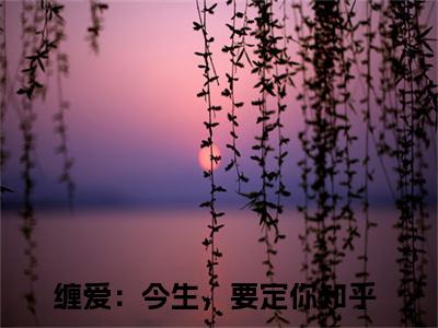 缠爱：今生，要定你小说在线阅读全文无弹窗大结局_孟聿川舒渺小说免费最新章节列表