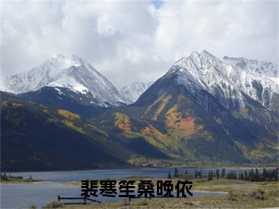 裴寒笙桑晚依（裴寒笙桑晚依）全文免费阅读无弹窗_裴寒笙桑晚依全文免费阅读最新章节大结局_