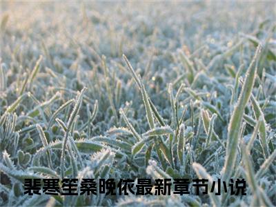 裴寒笙桑晚依免费小说 裴寒笙桑晚依全文无弹窗完整版阅读