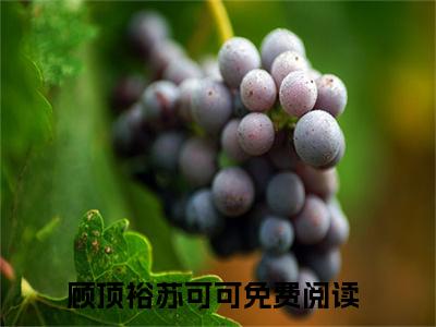 顾顶裕苏可可（顾顶裕苏可可）全文免费阅读无弹窗_苏可可，我可没让你喜欢我小说在线阅读_笔趣阁