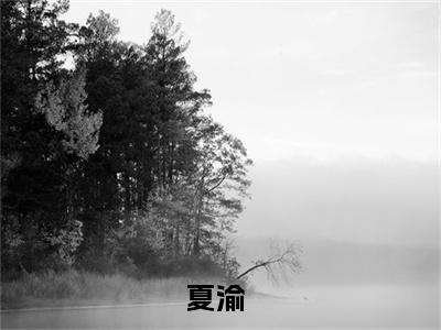 新上热文夏渝在线阅读-渝不可及叫渝不可及的小说全文完整版免费阅读