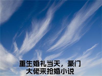 重生婚礼当天，豪门大佬来抢婚小说林亦风全文免费阅读（重生婚礼当天，豪门大佬来抢婚已完结）