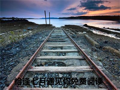 恰逢七月遇见你全文免费阅读_恰逢七月遇见你（金小芙叶以仁免费阅读无弹窗）金小芙叶以仁最新章节列表笔趣阁