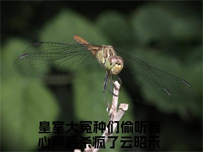 皇室大冤种们偷听我心声后杀疯了云昭禾热门小说最新章节阅读-老书虫书荒推荐热点小说（皇室大冤种们偷听我心声后杀疯了云昭禾）