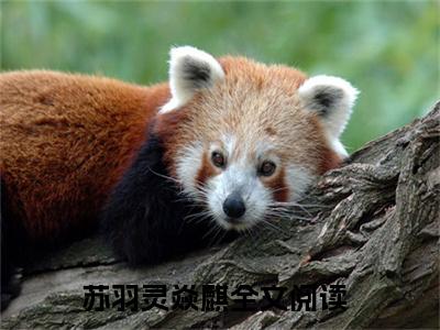 苏羽灵焱麒全文（苏羽灵焱麒小说）全文免费阅读无弹窗大结局_苏羽灵焱麒免费最新章节列表_笔趣阁（苏羽灵焱麒小说）