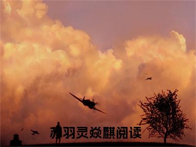 苏羽灵焱麒小说免费阅读苏羽灵焱麒小说全文免费阅读_苏羽灵焱麒最新章节列表笔趣阁
