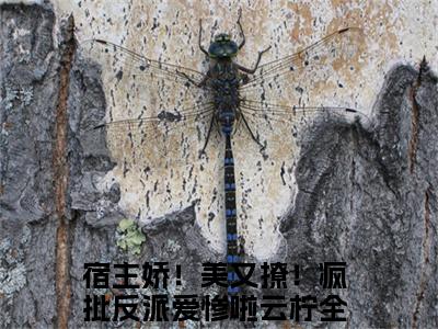 宿主娇！美又撩！疯批反派爱惨啦云柠小说(宿主娇！美又撩！疯批反派爱惨啦云柠)全文免费宿主娇！美又撩！疯批反派爱惨啦云柠读无弹窗大结局_(宿主娇！美又撩！疯批反派爱惨啦云柠小说免费阅读)