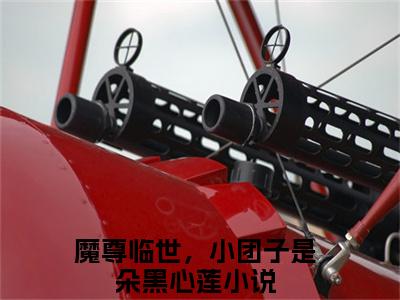 魔尊临世，小团子是朵黑心莲小说大结局免费阅读-颜清颜司旭抖音新上热文分享魔尊临世，小团子是朵黑心莲