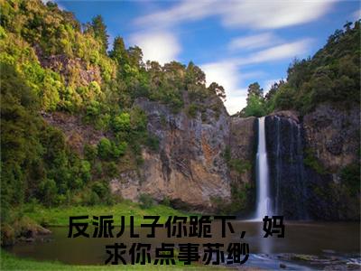 反派儿子你跪下，妈求你点事苏缈（反派儿子你跪下，妈求你点事苏缈小说）全文免费阅读无弹窗大结局_反派儿子你跪下，妈求你点事苏缈小说免费阅读-笔趣阁