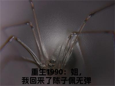 重生1990：姐，我回来了陈子佩新上精彩热文小说全文-重生1990：姐，我回来了陈子佩完整版全文在线赏析