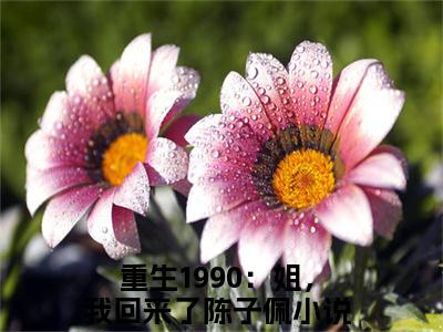 重生1990：姐，我回来了陈子佩(重生1990：姐，我回来了陈子佩)全文免费阅读_重生1990：姐，我回来了陈子佩全文阅读_笔趣阁