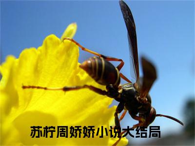 苏柠周娇娇小说（囤满百亿物资，我在安全屋躺赢末世）全文免费阅读无弹窗大结局_苏柠周娇娇全文免费完结版阅读（囤满百亿物资，我在安全屋躺赢末世）