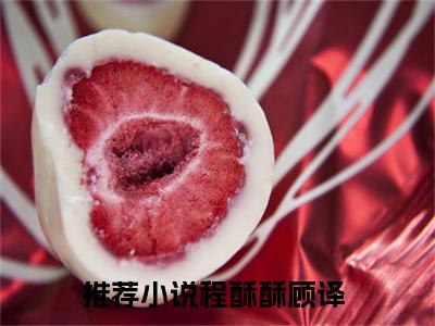 八零大佬宠妻甜小说全文（程酥酥顾译）在线阅读-八零大佬宠妻甜全文免费阅读无弹窗大结局