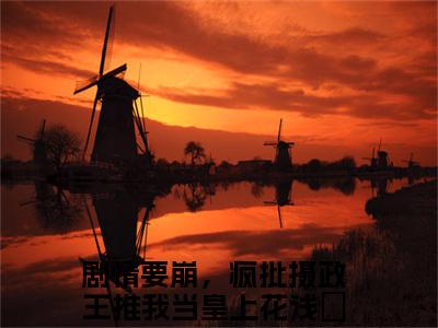 剧情要崩，疯批摄政王推我当皇上花浅玥（剧情要崩，疯批摄政王推我当皇上花浅玥）全文免费阅读无弹窗_剧情要崩，疯批摄政王推我当皇上花浅玥最新小说精彩推荐