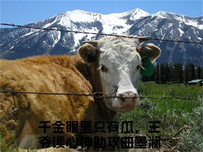 千金眼里只有瓜，王爷读心神助攻曲墨澜全文免费阅读无弹窗大结局_千金眼里只有瓜，王爷读心神助攻曲墨澜章节列表_笔趣阁