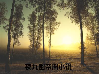 夜九幽帝胤（女帝抬眸诸神拜，魔尊跪吻她裙摆）全文完整版免费阅读_女帝抬眸诸神拜，魔尊跪吻她裙摆夜九幽帝胤全文免费阅读