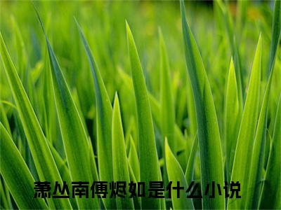 萧丛南傅烬如全文（昨夜灯暖）全文免费阅读无弹窗大结局_昨夜灯暖全文最新章节列表