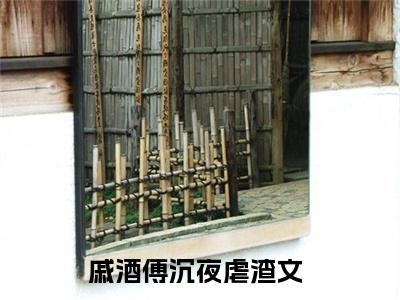 看见他就心动（戚酒傅沉夜）全文免费阅读无弹窗大结局_戚酒傅沉夜完整版小说阅读（看见他就心动）