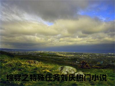 综穿之特殊任务刘庆小说全文免费阅读，综穿之特殊任务刘庆最新章节